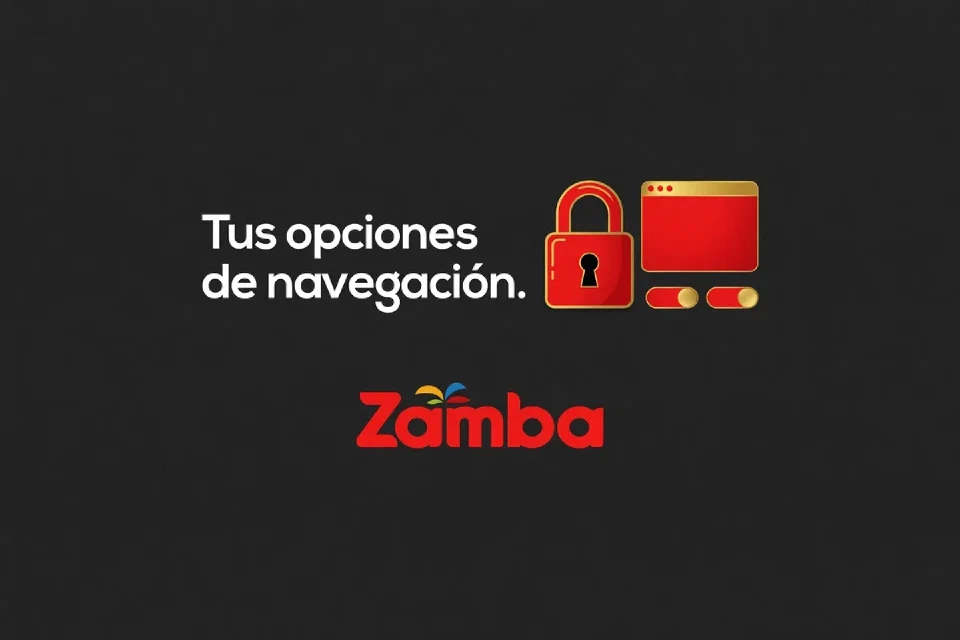Candado ilustrado, ventana de navegador y controles de privacidad junto a las palabras Tus opciones de navegación.